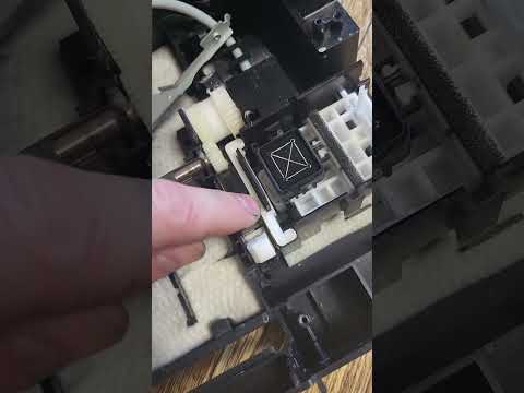 Ошибка 'Замятие бумаги' на Epson CX8300, TX200, TX400, TX410