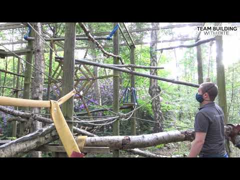 Dynamic branching - primate enclosure refurbishment