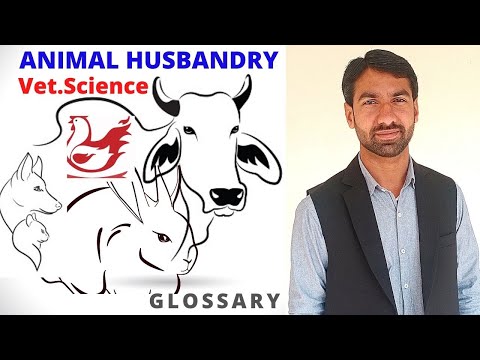 Dr. Sara May, Allergy and Immunology