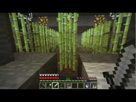 mmillss in Minecraft - 037 Cane Quake