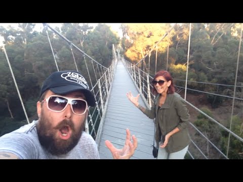TDW 1169 - Sketchy San Diego Suspension Bridge