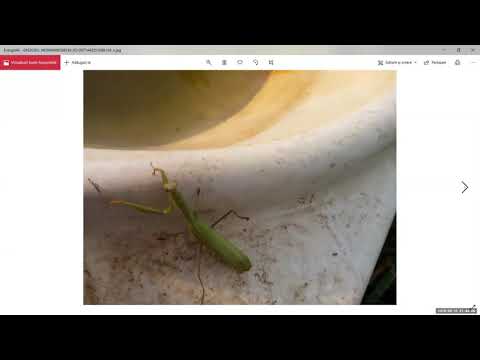 2019 09 16 PM Public Teaching in Spanish - Enseñanzas públicas en Español