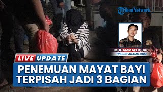 Penemuan Mayat Bayi Terbagi 3 Bagian Gegerkan Warga Bukittinggi, Ditemukan di Belakang Rumah Saksi