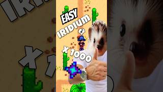 How I Farmed 1,000 Iridium Ore FAST in Stardew Valley 🦔