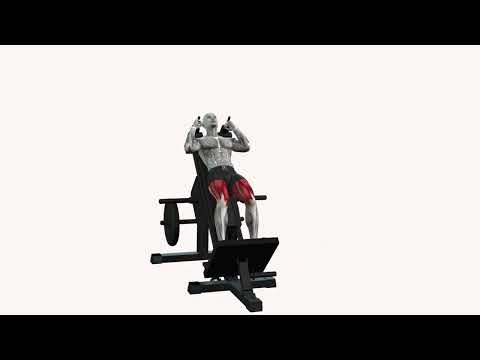 Exercice Hack Squat pieds sérrés