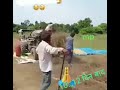 New Mp Malwa Soyabean Cutting Status