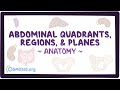 Abdominal quadrants, regions, and planes