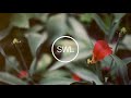Soljee Manezz Lost In Paradise Original Mix