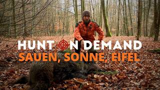 Sauen, Sonne, Eifel 🐗☀️🌋 Drückjagd im Herbstwald von @huntingtommes