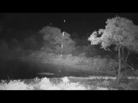 Djuma: Sights and sounds along with rain - 01:15 - 03/26/2022