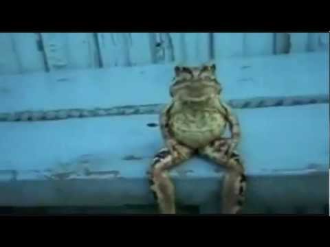 Es ist nicht sehr einfach so allein