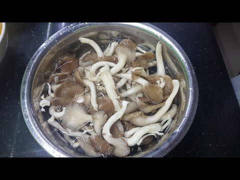 Cách làm gỏi nấm bào ngư món chay ngon