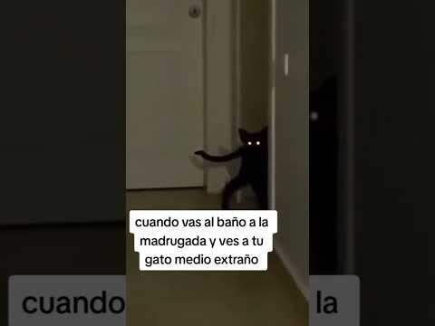 Protégeme señor con tu espíritu el michi endemoniao