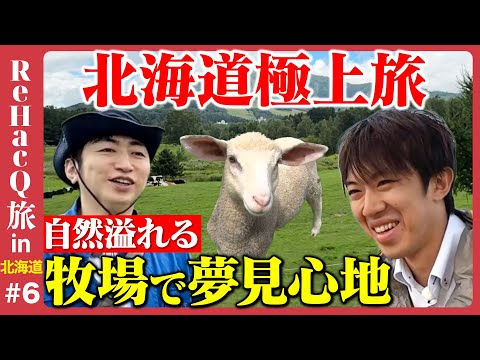 歴史文化学科 【スーツvs羽田圭介】星野リゾートで羊とリトリート＆秘湯！山奥の洞窟風呂【ReHacQ旅in北海道⑥】
