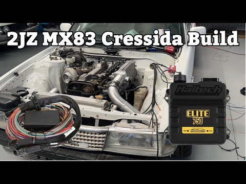 How To Install A Haltech Ecu In Any Car! - 2jzge+t Mx83 Cressida Build