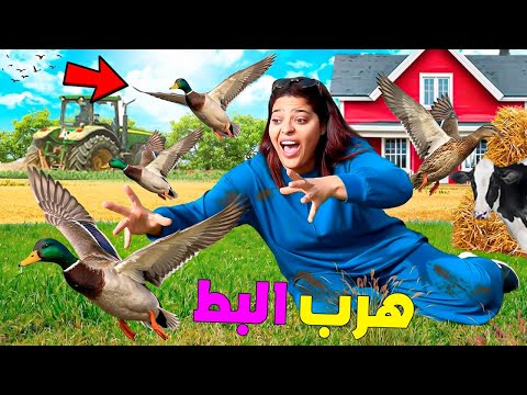 للاسف..هرب كل البط من المزرعة🐥حيت الذكاء الاصطناعي 🤖تحكم فينا😱( وقعوا كوارث🚨)