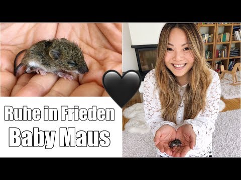 Abschied nehmen 🖤 In Gedenken an Baby Maus | Mamiseelen