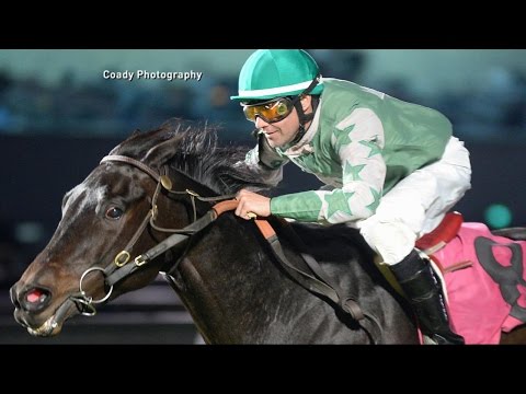 Photo Finish: Did Jockey Electrically Shock His Horse?