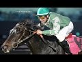 Photo Finish Did Jockey Electrically Shock His Horse