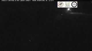 Brașov · Vulcan · Libearty bear Sanctuary Zarnesti live stream