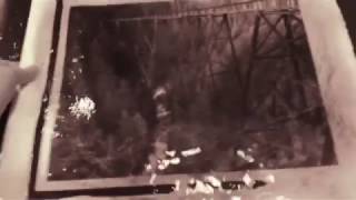 Carbon Transfer Print: Ladner Creek Trestle by Andrew O'Neill