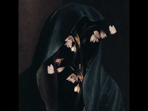 Hail the Void - 100 Pills (Official Audio)