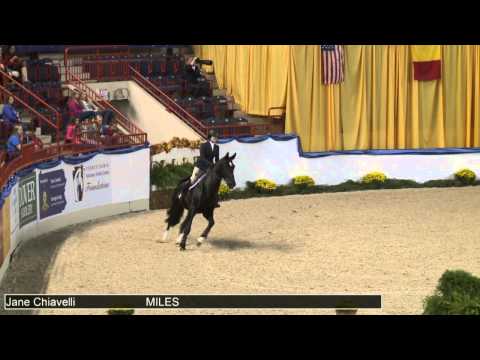 1039 MILES Jane Chiavelli, Class 48a Equitation Schooling A