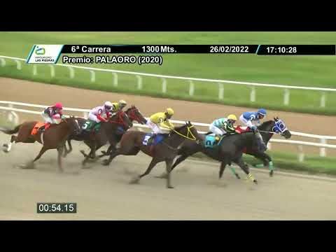 220226 c06 - WALTER WHITE - HIPODROMO LAS PIEDRAS