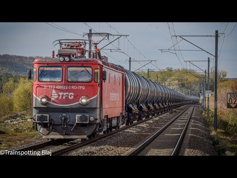 Concert de goarne /horns concert 