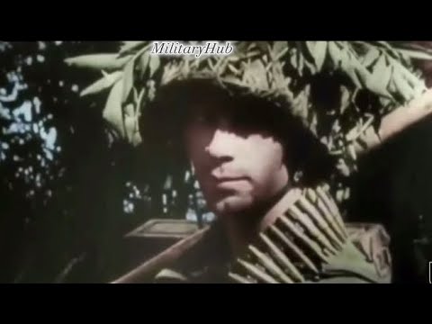 German WWII Infantry edit          Music-(Freaks,Surf curse)