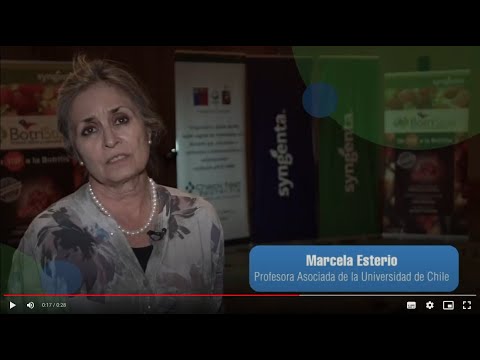 Switch - Marcela Esterio
