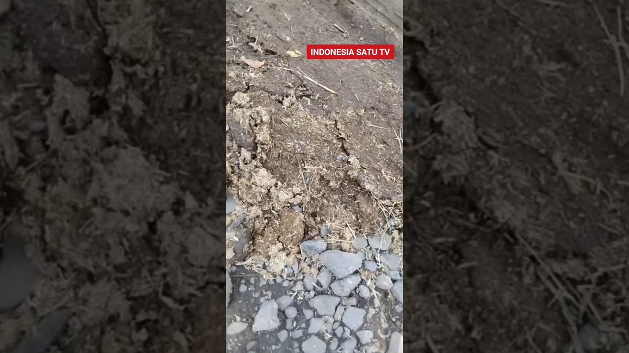 Aman Jalan Kabupaten Ditambal Kotoran Kuda