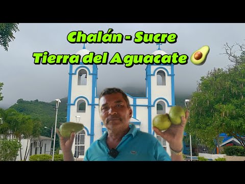 Chalán - Sucre la Tierra del Aguante 🥑