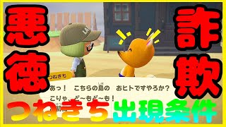 【あつ森】つねきちの出現条件まとめ。私より騙されやすい人おる？【あつまれどうぶつの森】
