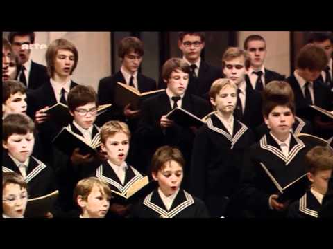 Les effets de la musique