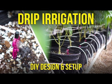 Simple DIY drip irrigation setup for any grow