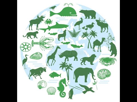 Biodiversity 2.1 Miceli Lecture APES