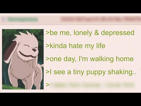 Max's Last Walk: The Story That Broke Anon's Heart | 4Chan Greentext Stories