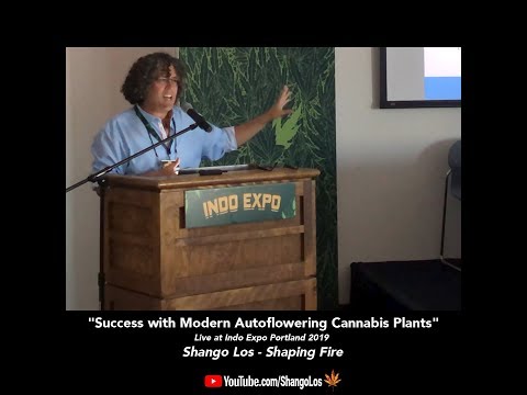 Success with Modern Autoflowering Cannabis Varieties - Shango Los at Indo Expo Portland 2019