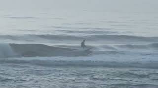 North Florida Surf And Beach Update 710am 04.05.26