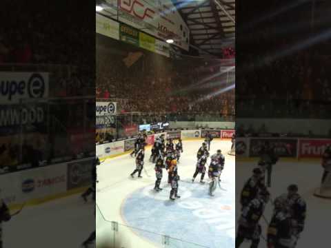 Fribourg Gotteron Kiwi Dance 2012/13 | HD