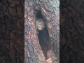 Shelter from the storm