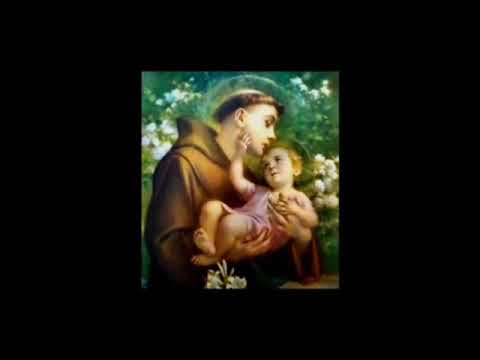 Sagrado Banquete - Ana Paula Ferreira