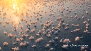 La Valse des Lilas, Michel Legrand. Subtitulado