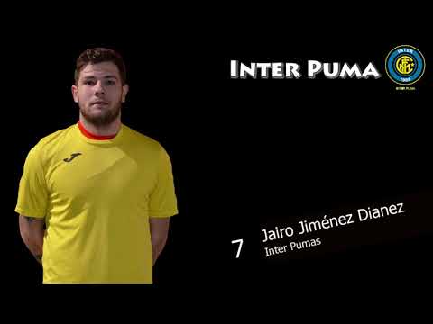 Inter Puma