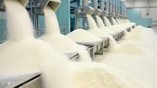 Download lagu 🌾Here's the Complete Sugar Production Process — From Field to Dinner Table! #sugar #sugarfactory ... mp3 Download lagu 🌾Here's the Complete Sugar Production Process — From Field to Dinner Table! #sugar #sugarfactory ... mp3