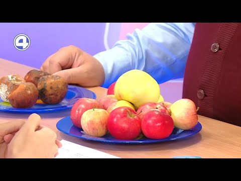Лучшие советы о яблонях и яблоках