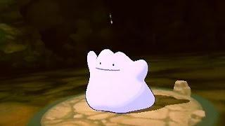 ポケモンオメガルビー サーナイトナイト 入手場所 入手方法 メガストーン Gardevoirite Location Pokemon Oras تنزيل الموسيقى Mp3 مجانا ポケモンオメガルビー サーナイトナイト 入手場所 入手方法 メガストーン Gardevoirite Location Pokemon Oras تنزيل الموسيقى Mp3 مجانا