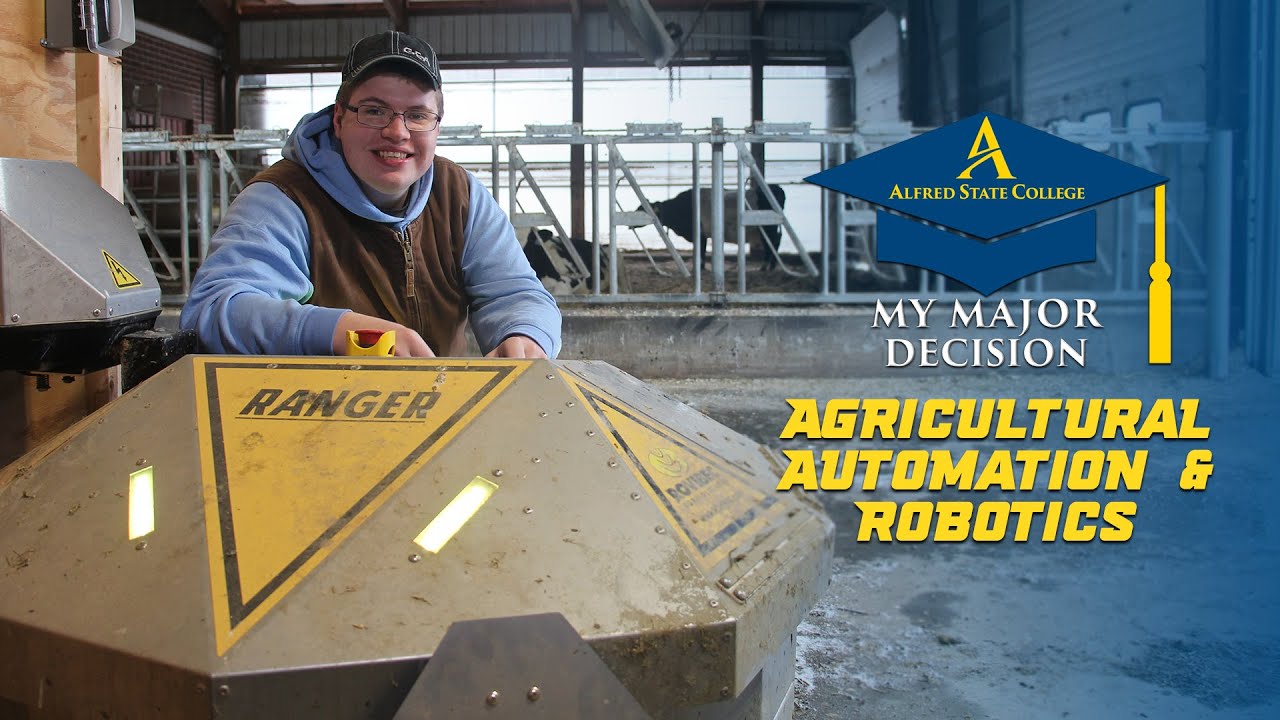 Video preview thumbnail