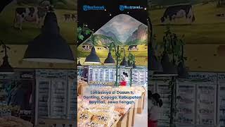 Liburan Seru di Cepogo Cheese Park Boyolali, Tempat Wisata Baru yang Hits dan Instagramable